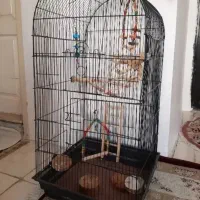 قفس پرنده