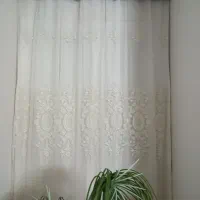 پرده پذیرایی