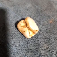 مهره