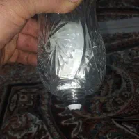 لاله لوستر  شعمدان در طحر مختلف