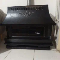 بخاری بزرگ و سالم