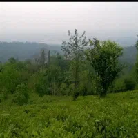 فروش زمین هکتاری مرزن آباد