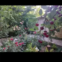 تهاتر خانه باغ زیبا (کردان،روستای ولیان)