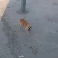 فروش فوری