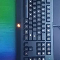 کیبورد ریزر Cynosa Lite