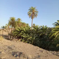 کار یابی