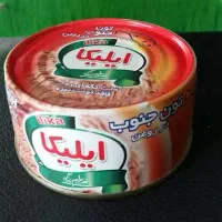 تن ایلیکا