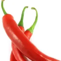 فروش فلفل قرمز