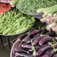 نیرو کار جوان برای میوه فروشی