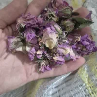 گل محمدی