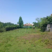 زمین-مسکونی-در-سیاهکل-دیلمان