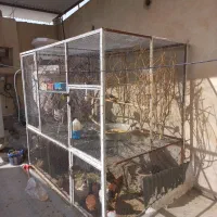 محل نگهداری حیوانات