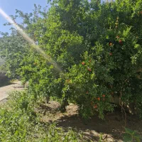 سویت میخای ، با من تماس بگیر ( مهرشهر و گلشهر)