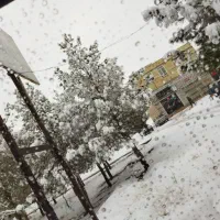 مغازه اجاره ای صغادخ وحدت