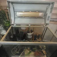 آکواریوم تلقی 60 ×30 با ارتفاع 43 سانتی متر