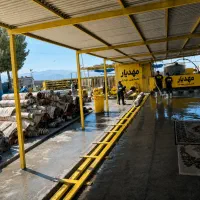 قالیشویی قالی شویی مهدیار