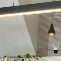 لوستر لاین