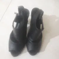 کفش مجلسی|کیف، کفش، کمربند|اردبیل, |دیوار