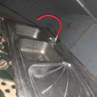 سینگ دو قلو با شیر