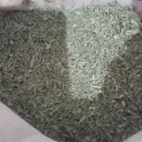 پونه