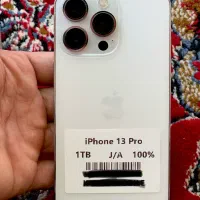13 pro 1T