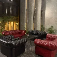 میز و صندلی  چستر
