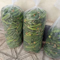 خیارشوری
