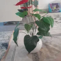 گلدان دو عدد