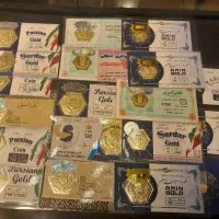 فروش سکه طلا پارسیان
