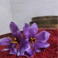 زعفران از شما، بسته بندی و فروش با ما