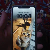 iphone xr 128|موبایل|مشهد, انقلاب|دیوار