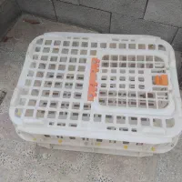 قفس مرغ