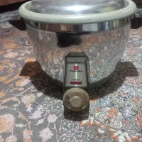 پلوپزبرقی