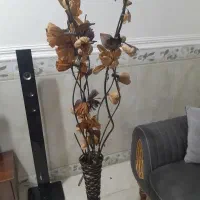 گل بزرگ خونه