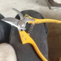 قیچی باغبانی