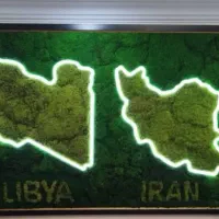 طراحی و اجرای تخصصی ماس وال (دیوار سبز خزه‌ای)