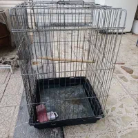 قفس پرنده
