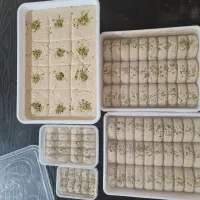 محصولات کنجدی حاج عباس ویژه همدلیی