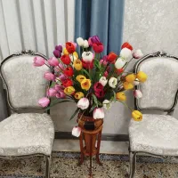 گل لاله خارجی