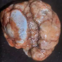 سنگ نایاب
