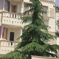 زمین-230-متری-گلستان-شمالی