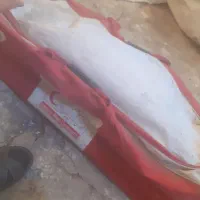 سلام ۲تا چادور بزرگ سالم