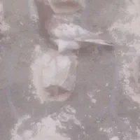 سار بزگ .