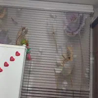 دوعدد پرده درحدنو