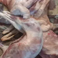 سلام گوشت گوسفندی کیلو ۹۵۰