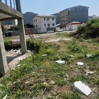 مشارکت زمین در دیانتی