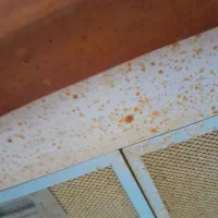 نیروی خدماتی منزل