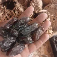 خرما ربی تناژ بالا خریدارم
