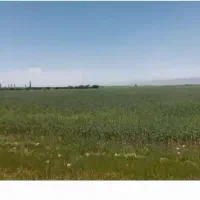 زمین-کشاورزی-آبی-سلطانیه-2هکتار