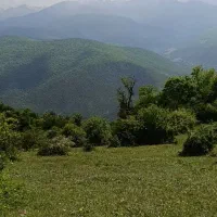 فروش مرغداری فعال 50000قطعه ای